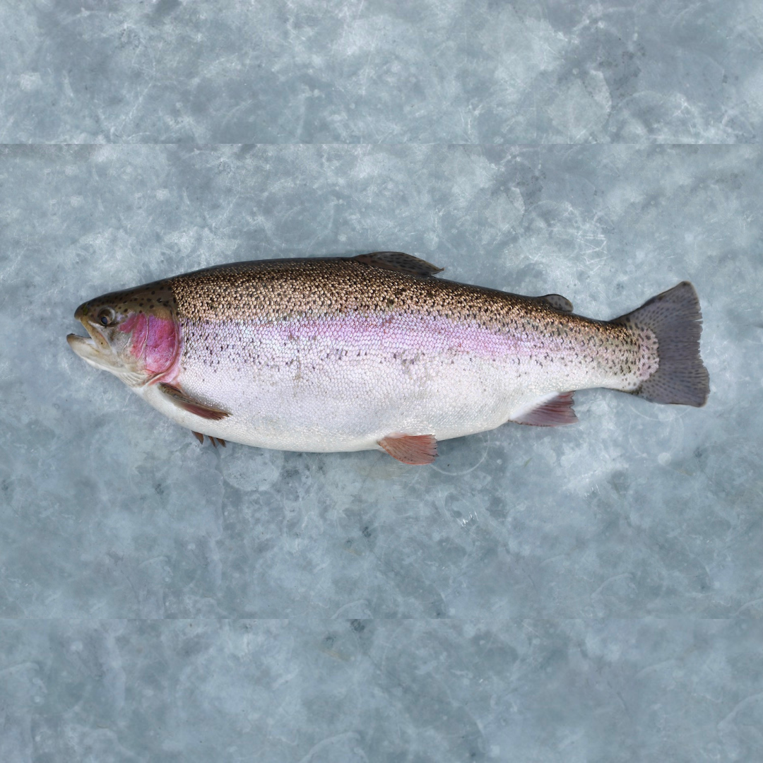 Collection - ChalkStream