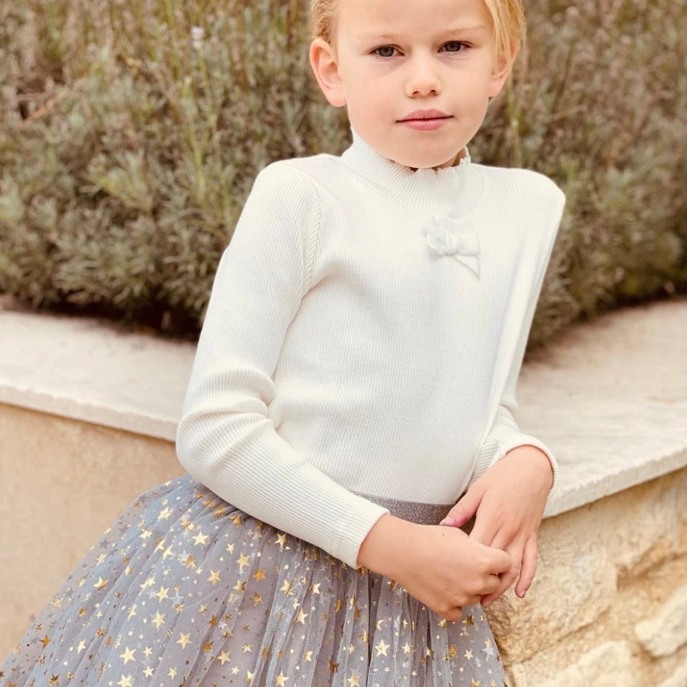 Silver star skirt