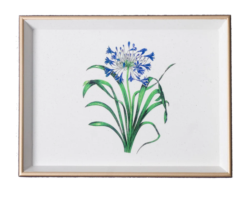 Vanity Trays