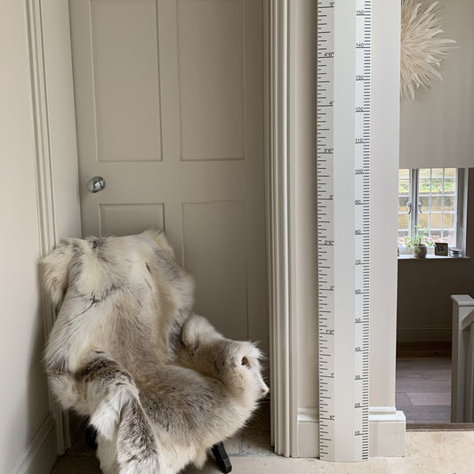 Painted Ruler Height Chart